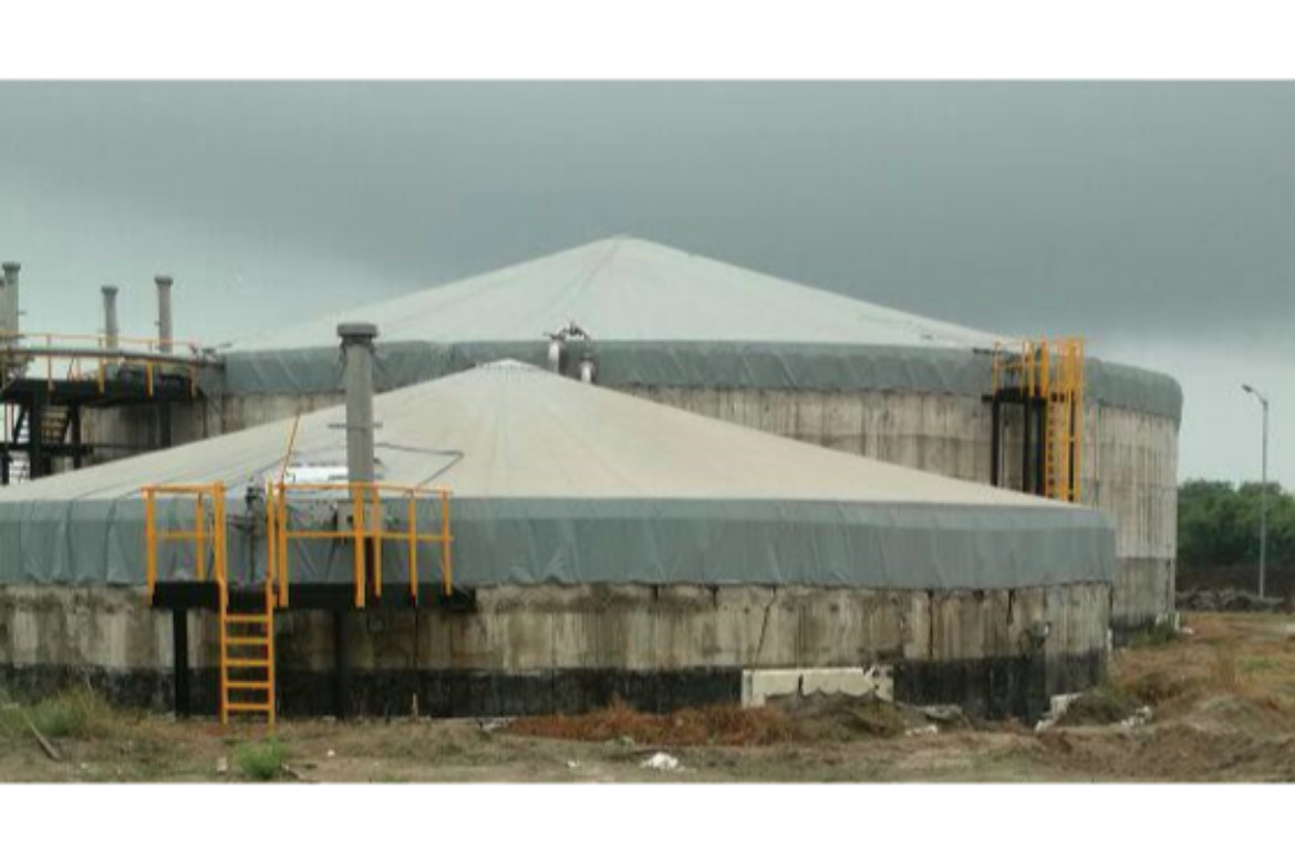 Green Planet biogas power plant, Punjab